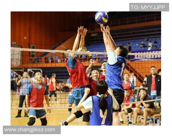 北京排球队的默契配合与战术分析探讨排球竞技的魅力与团队精神