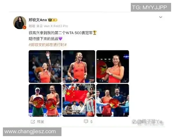 重庆网球队精英赛之路：拼搏与荣耀交织的奋斗故事